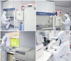 Quyết định ban hành Hướng dẫn xây dựng Quy trình thực hành chuẩn trong Quản lý chất lượng xét nghiệm